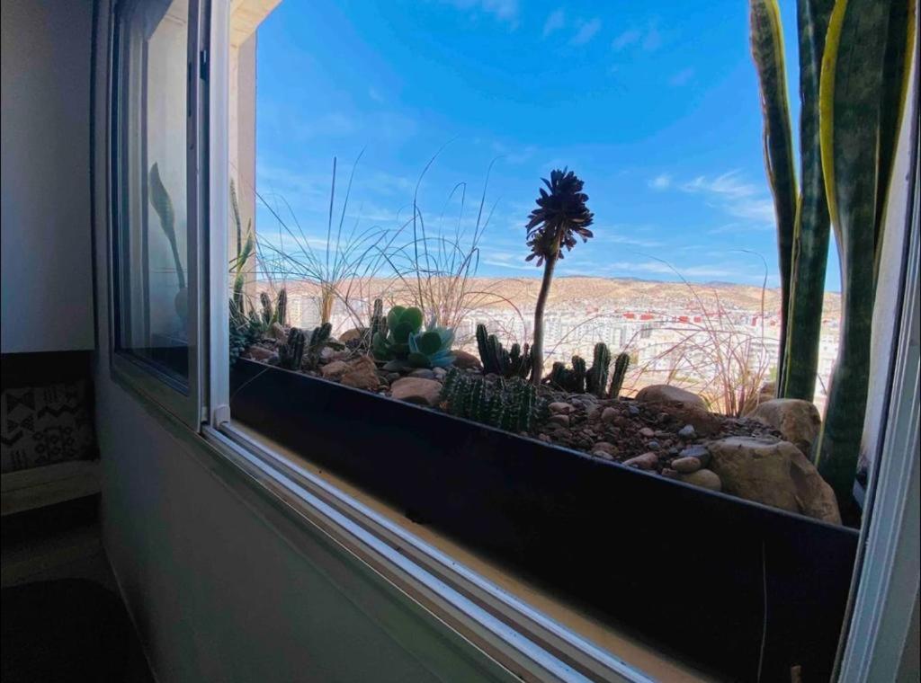 Sun Rise Islan Appart Apartment Agadir Ngoại thất bức ảnh